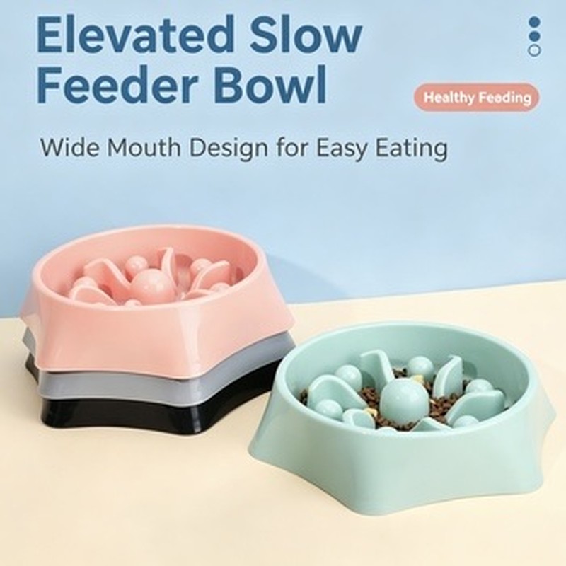 Anti-Choke Slow Feeder Bowl