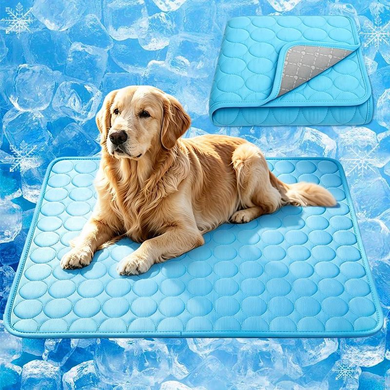 What Pet Stores Need to Know About Stocking Senior Dog Products
